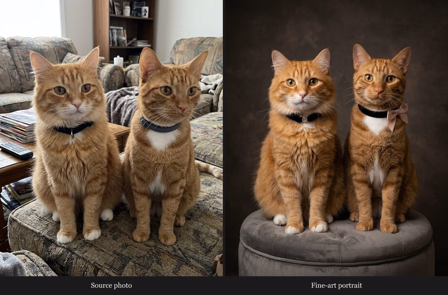 Pablo and Golda, the author's orange tabby littermates, in a home photograph beside their hand-painted portrait.