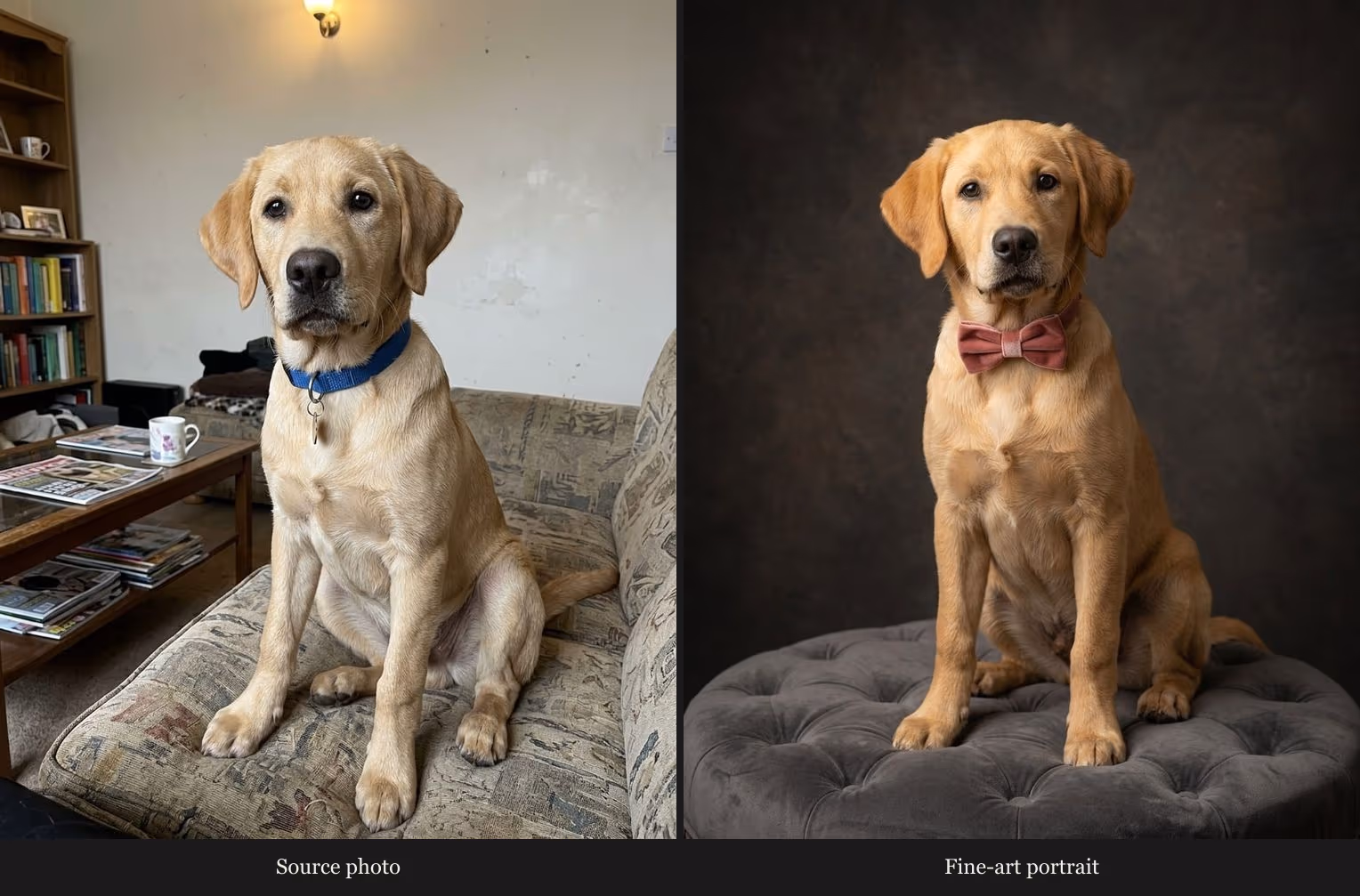 A yellow Labrador source photo beside a fine-art portrait of the same subject on a gray ottoman.