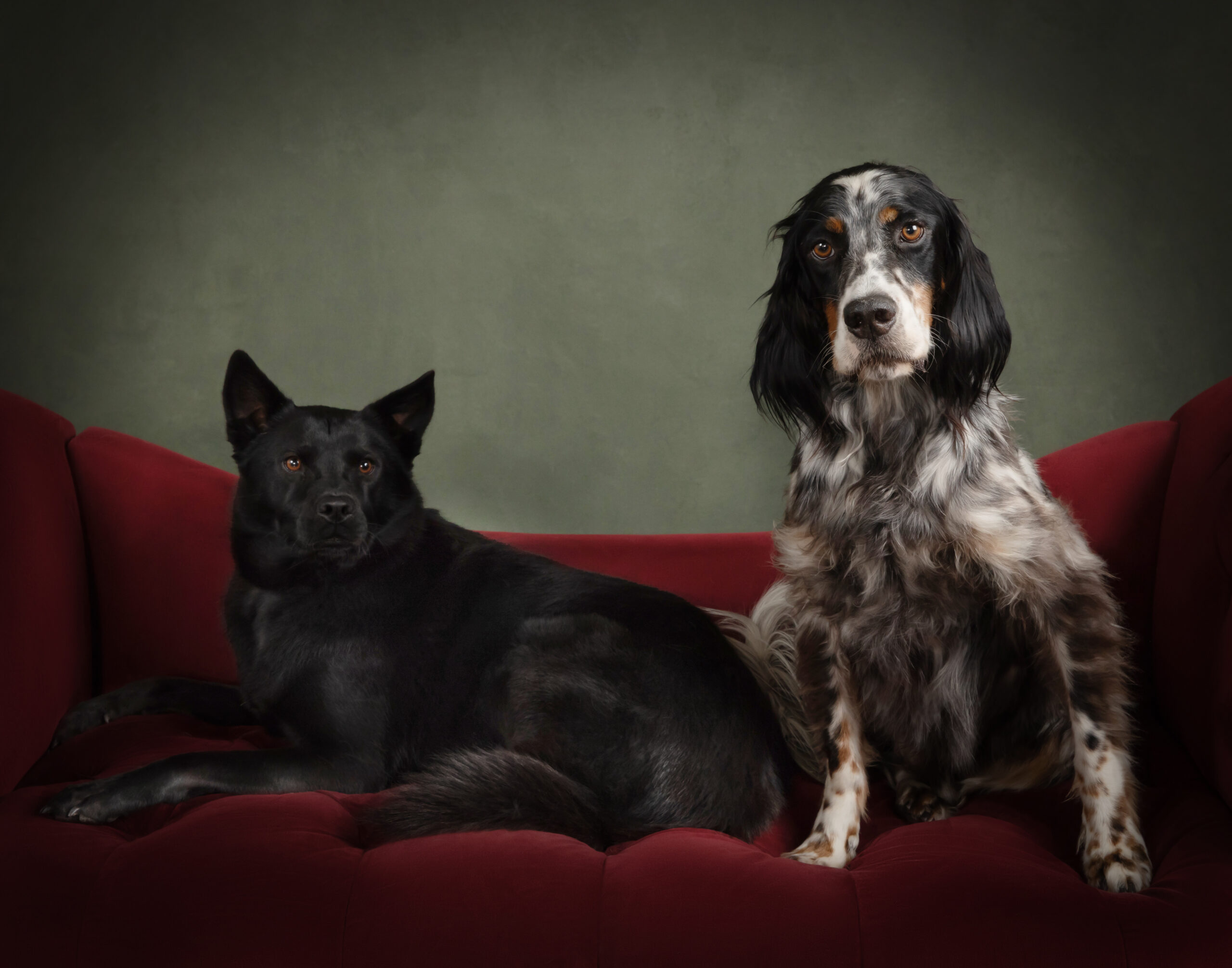 Pet Memorial Portrait